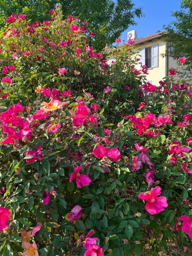 Holiday home 15km From Bologna Budrio (Bologna)