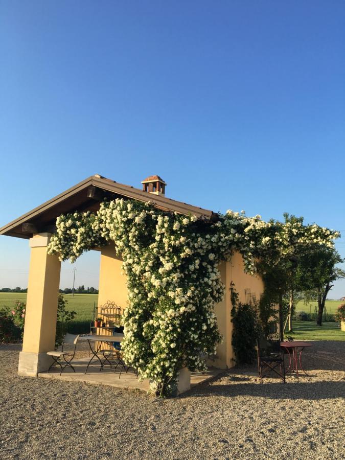 15km From Bologna Budrio (Bologna)